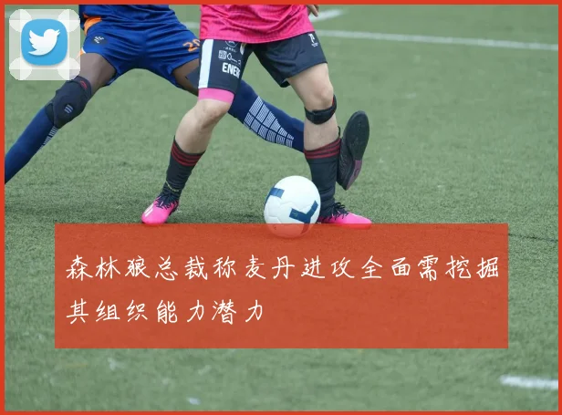 森林狼总裁称麦丹进攻全面需挖掘其组织能力潜力